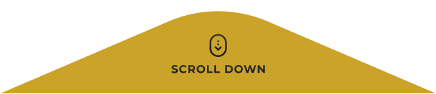scroll down